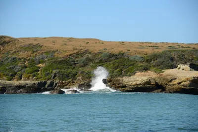 DSC_2640 (Large).JPG